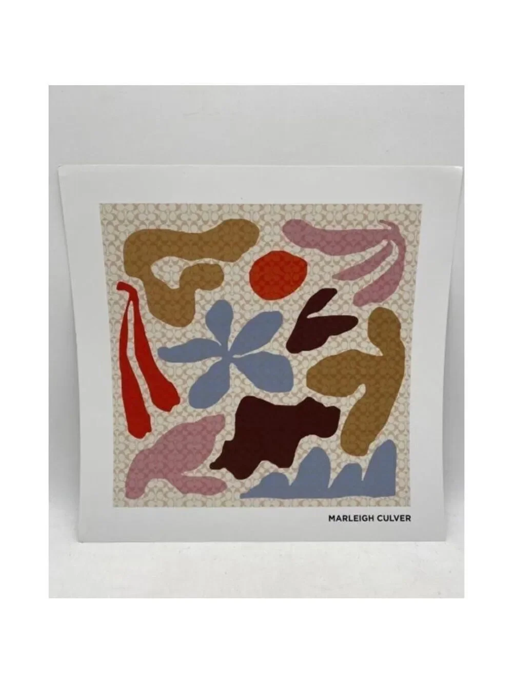 COACH Art of Signature Designer Marleigh Culver Art Print